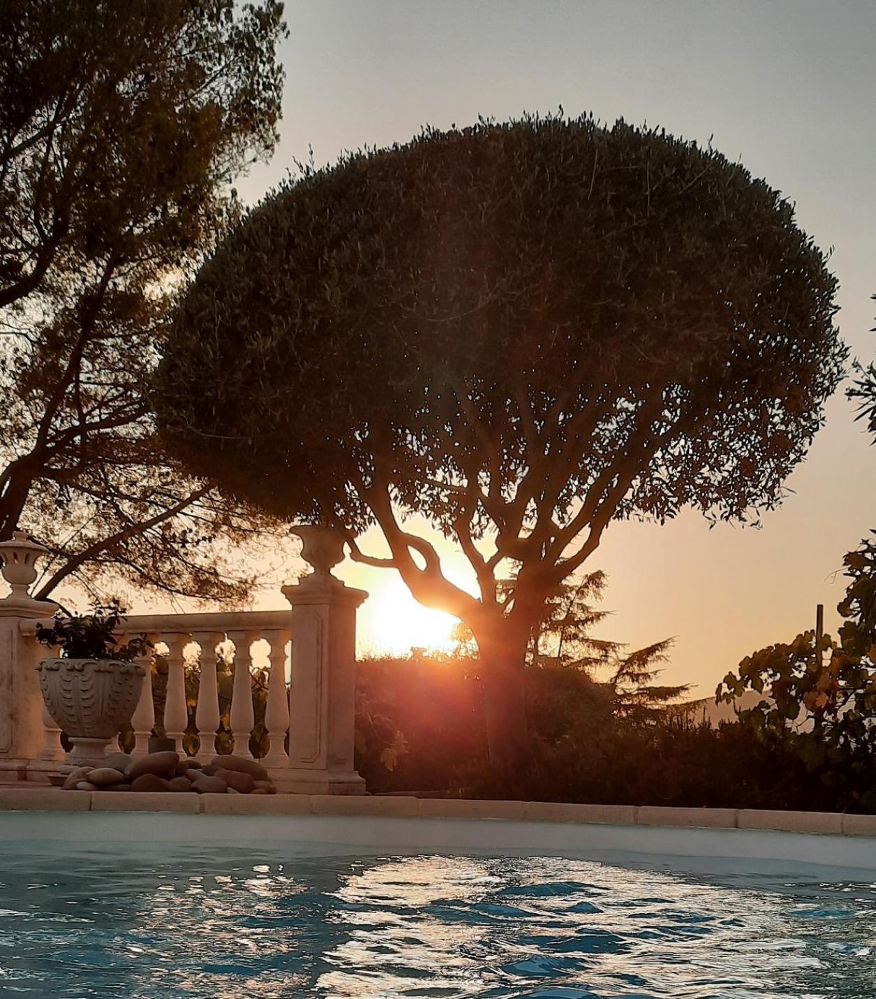 Gite Les Pins Climatise Piscine Chauffee Jardin Peymeinade Exterior foto